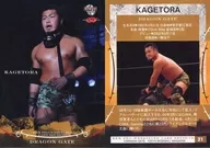 21[常规卡]:KAGETORA