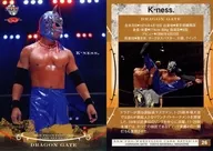 26[レギュラーカード]：K-ness