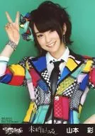 Sayaka Yamamoto / Upper Body [AKBS-2 / 20101] / CDs "The Future is Eye-Catching" Bonus (Pachinko Hall Ver.)