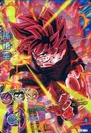 HJ6-13 [Superraro] : Son Goku
