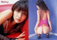 17 ： 堀口としみ/レギュラーカード/Spicy card collection