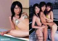 41 ： 七生奈央/レギュラーカード(裏面パズルカード仕様)(1/2)/Spicy card collection