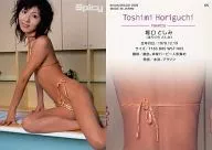 65 ： 堀口としみ/レギュラーカード/Spicy card collection