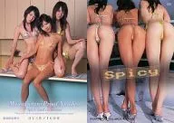 SN：集合(3人)/製造認証番号カード(/1600)/Spicy card collection
