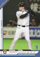 C13NM055 [NM] : Hofpower