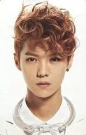 EXO-M/LUHAN(卢汉)/CD｢OVERDOSE｣特典TORAYCA