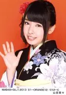 山田菜菜/NMB48×B.L.T.2013 01-ORANGE12/012-C