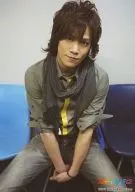 Kis-My-Ft2 / Kento Senga / Knee-Up, Sitting, Costume Khaki, Stall-Gray, Double-Hand Overlap, Frameless / Official Official photo