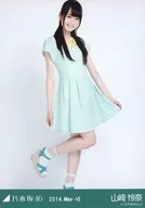 Rena Yamazaki / Knee-Up / Green / "2014 May-VI" Venue Limited Official photo