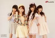 StylipS/集合(4人)/虎之穴特典明信片