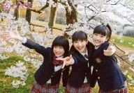 Sakura Gakuin / Yunano Notsu / Saki Oka / Mariri Sugimoto / Yokozuna / Sakura Gakuin 2012 New Students Ver. Official Official photo