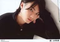 D2/山田裕貴/横型・バストアップ・顔斜め・衣装黒・左手頬・背景白・「2013.11」/公式生写真
