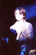 Kinki Kids / Koichi Domoto / Live Photo / Upper Body / Costume Gold / Silver / 2L Size / Endless SHOCK 2013