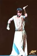 Kinki Kids / Koichi Domoto / Live Photo, Whole Body, Costume White, Gold, Left Hand Lift, Leg Cross, Front, 2L Size / Endless SHOCK 2013