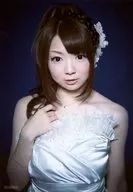 Ray/Cd｢ebb and flow｣Sofmap特典