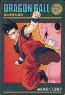 252 : El gran contraataque de Son Gohan!