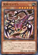 15AX-JPY17[M]：聖獣セルケト