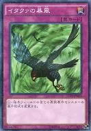 15AX-JPM55[M]:伊塔瓜風暴