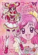 P02 : Cure Dream