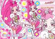 053 : Blossom de cura