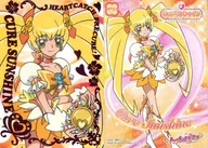 PT07 : Cure Sunshine