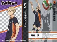 13 : Hotaru TSUKISHIMA