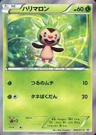 034/XY-P [P] : (Kira) Chespin