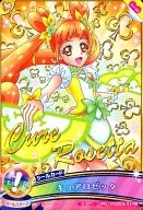 01. 0/48 [Pricard] : Cure Rosetta