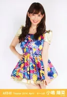 Haruna Kojima / Above-the-Knee / Right-Handed / Theater Trading Official photo Set 2014. April