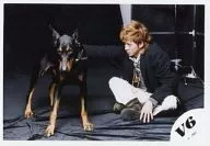 V6 / Jun' ichi Okada / Horizontal, Whole body, Costume black gray, Sitting, Dog, Left facing, Background black / Official Official photo