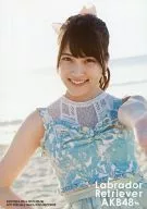 Anna Iriyama / Personal Wear / CDs "Labrador Retriever" Regular Edition Special Benefit