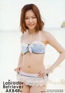Haruka Shimazaki / Swimsuit / Knee-Up / CD-"Labrador Retriever"Regular Edition Bonus