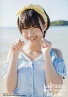 朝長美櫻/便裝/CD｢LLABRA人偶娃娃獵犬｣通常盤特典