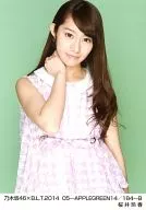 樱井玲香/乃木坂46×B.L.T.2014 05-APPLEGREEN14/184-B