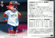 F70[レギュラー]：カビー