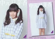 R134N : Momoka Nakamoto / Regular Card (Normal) / Nogizaka46 Trading Collection Part 2