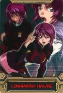 S6-020-065:Lunarima Hawk