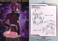 20 : Runamaria Hawk