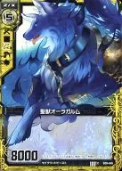 B09-049 [C] : Holy Beast Aura Garm