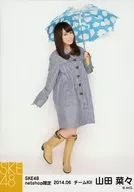 Nana Yamada / Whole Body, Left Hand Umbrella, Right Hand Bottom / "SKE48netshop Only", 2014.06 Individual Official photo