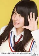 Nana Yamada / NMB48 x B. L. T. 2012 02-YELLOW13/057-C