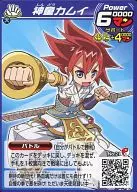 No. 21 [Normal] : Kamui Shindo