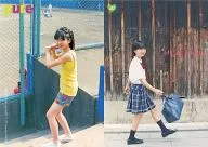 381:志田未来/杂志"pure2 Vol.38"赠品特雷卡