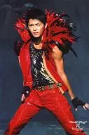 Takki & Wings / Wing IMAI / Live Photo / Above the Knee / Costume Red / Feather Decoration / Inner Silver / Eye View Left / Background Gray / 2L Size / World's Wing Premium2007