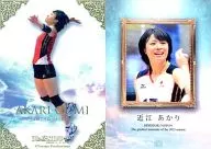 SP[特殊卡]:近江之光/特殊卡(金箔卡)