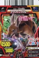 G14A-055 Normal : red kangaroo