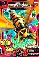 A-040 Normal : European wasp