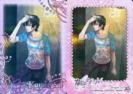 20:SP Card-14花砾