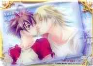 No. 25 [Normal Card] : Akira & Goi