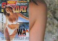 SPECIAL CARD013:酒井若菜/特殊卡(烫金)/Young Sunday Harvest Collection酒井若菜